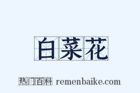 白菜花是什么意思的图片